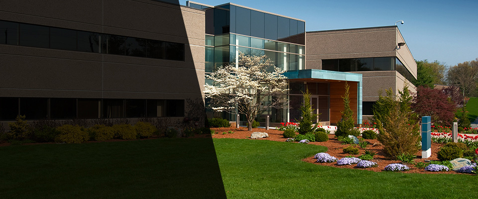 Mamaroneck Landscapers