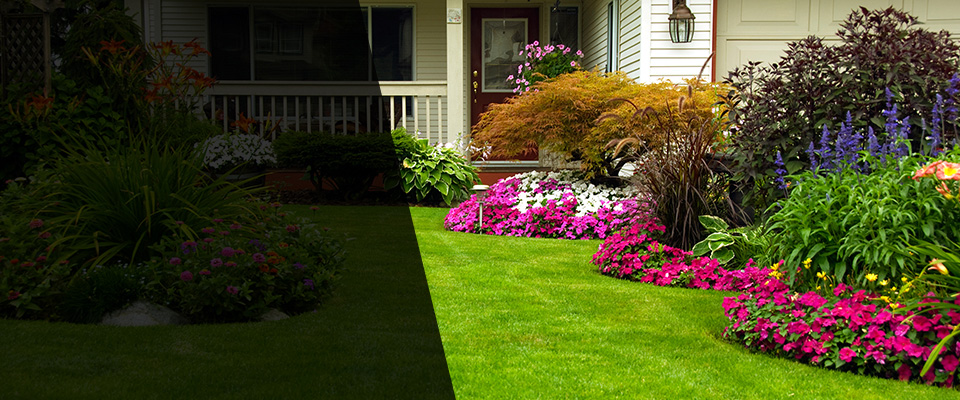 Mamaroneck Landscapers