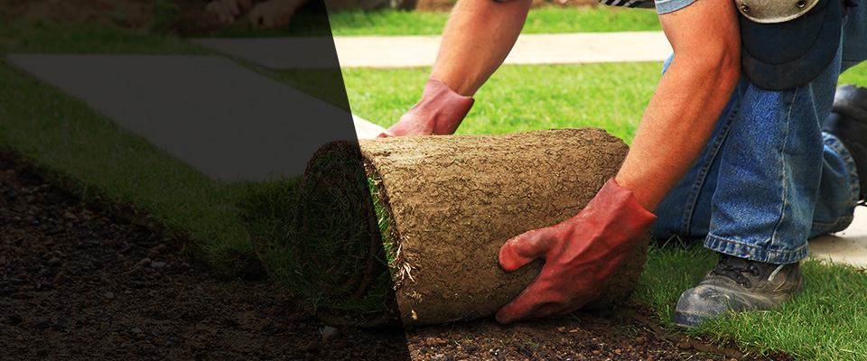 Mamaroneck Landscapers